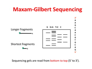 Sequence based Markers | PPTX