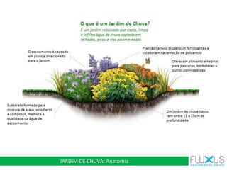 JARDIM DE CHUVA: Anatomia
 