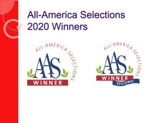 All-America Selections
2020 Winners
 
