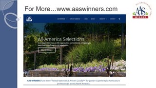 For More…www.aaswinners.com
 