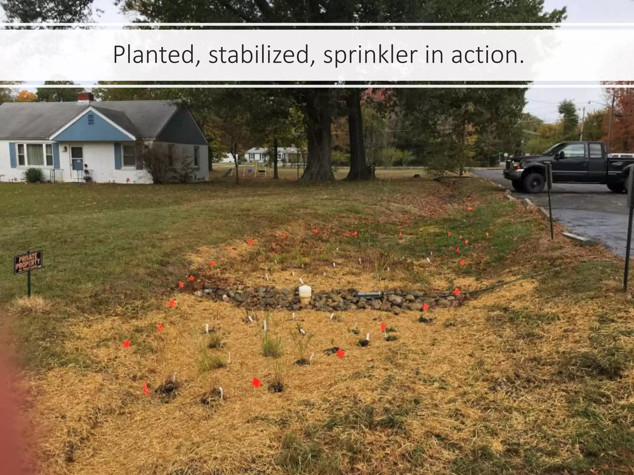 Planted, stabilized, sprinkler in action.
 