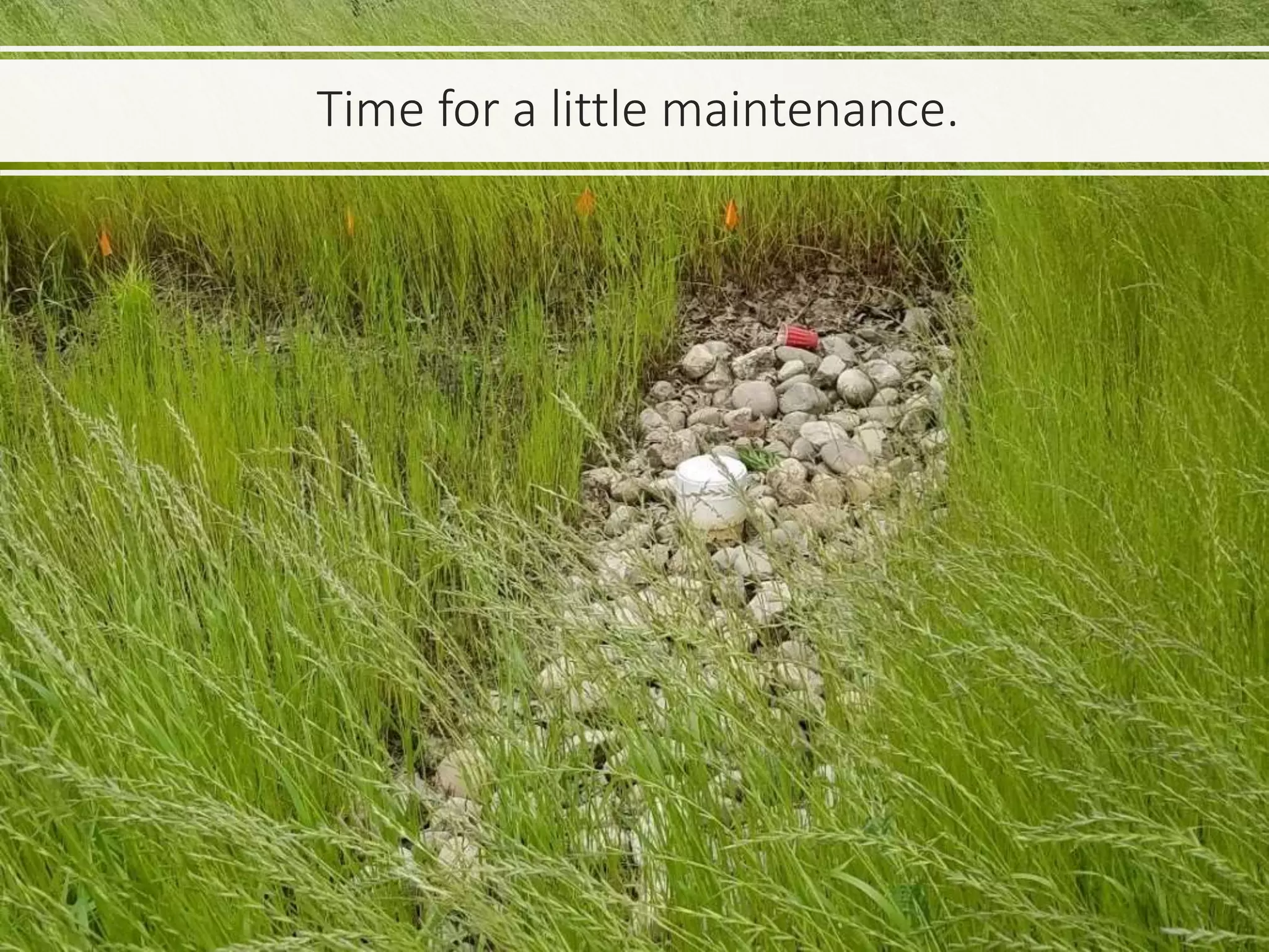 Time for a little maintenance.
 