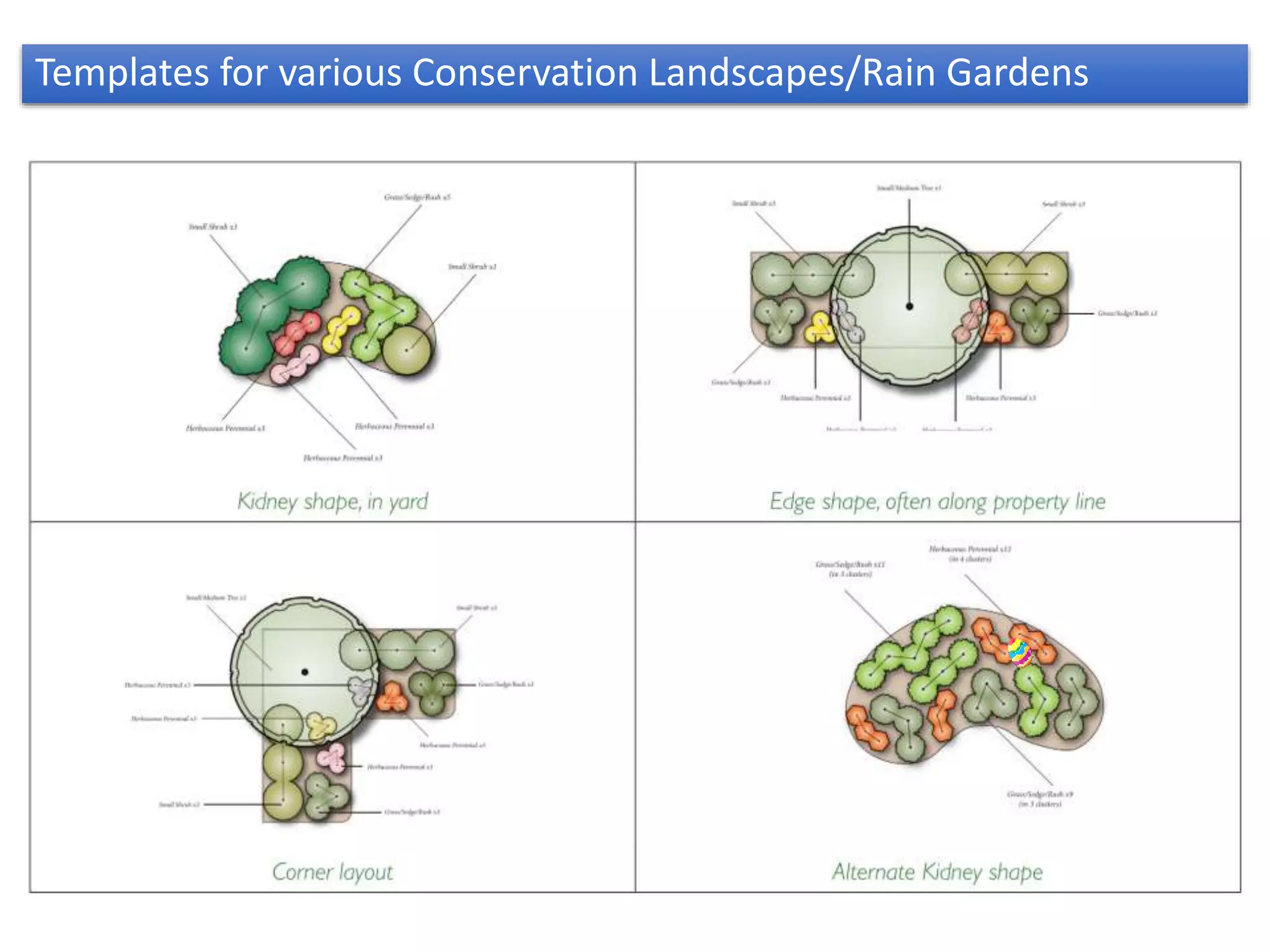 Templates for various Conservation Landscapes/Rain Gardens
 