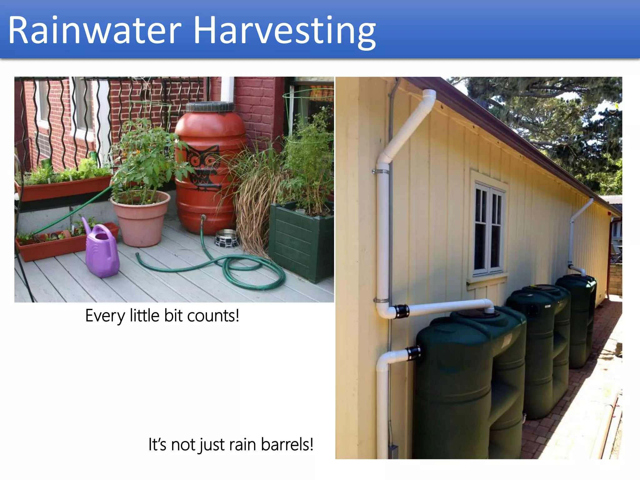 Rainwater Harvesting
Every little bit counts!
It’s not just rain barrels!
 