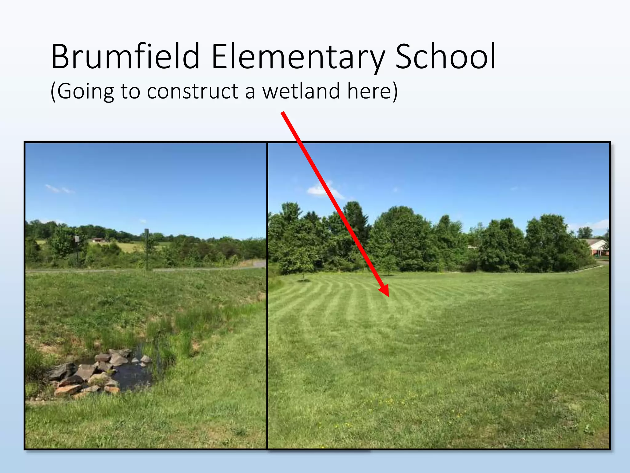 Brumfield Elementary School
(Going to construct a wetland here)
 