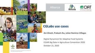 CGLabs use cases
Ani Ghosh, Prakash Jha, Julian Ramirez-Villegas
Digital Dynamism for Adaptive Food Systems
CGIAR Big Data in Agriculture Convention 2020
October 21, 2020
 
