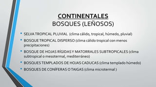 CONTINENTALES
BOSQUES (LEÑOSOS)
• SELVATROPICAL PLUVIAL (clima cálido, tropical, húmedo, pluvial)
• BOSQUETROPICAL DISPERSO (clima cálido tropical con menos
precipitaciones)
• BOSQUE DE HOJAS RÍGIDASY MATORRALES SUBTROPICALES (clima
subtropical o mesotermal, mediterráneo)
• BOSQUESTEMPLADOS DE HOJAS CADUCAS (clima templado húmedo)
• BOSQUES DE CONÍFERAS OTAIGAS (clima microtermal )
 