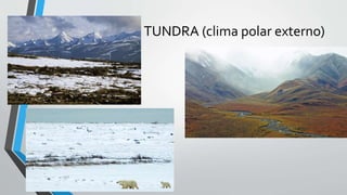 TUNDRA (clima polar externo)
 