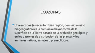 ECOZONAS
•Una ecozona (a veces también región, dominio o reino
biogeográfico) es la división a mayor escala de la
superficie de laTierra basada en la evolución geológica y
en los patrones de distribución de las plantas y los
animales nativos, salvajes o preneolíticos.
 