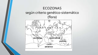 ECOZONAS
según criterio genético-sistemático
(flora)
 