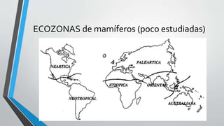 ECOZONAS de mamíferos (poco estudiadas)
 