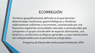 ECORREGIÓN
Territorio geográficamente definido en el que dominan
determinadas condiciones geomorfológicas y climáticas
relativamente uniformes o recurrentes, caracterizado por una
fisonomía vegetal de comunidades naturales o seminaturales que
comparten un grupo considerable de especies dominantes, una
dinámica y condiciones ecológicas generales y cuyas interacciones
son indispensables para la persistencia a largo plazo.
Programa de Desarrollo Institucional Ambiental. APN.
 