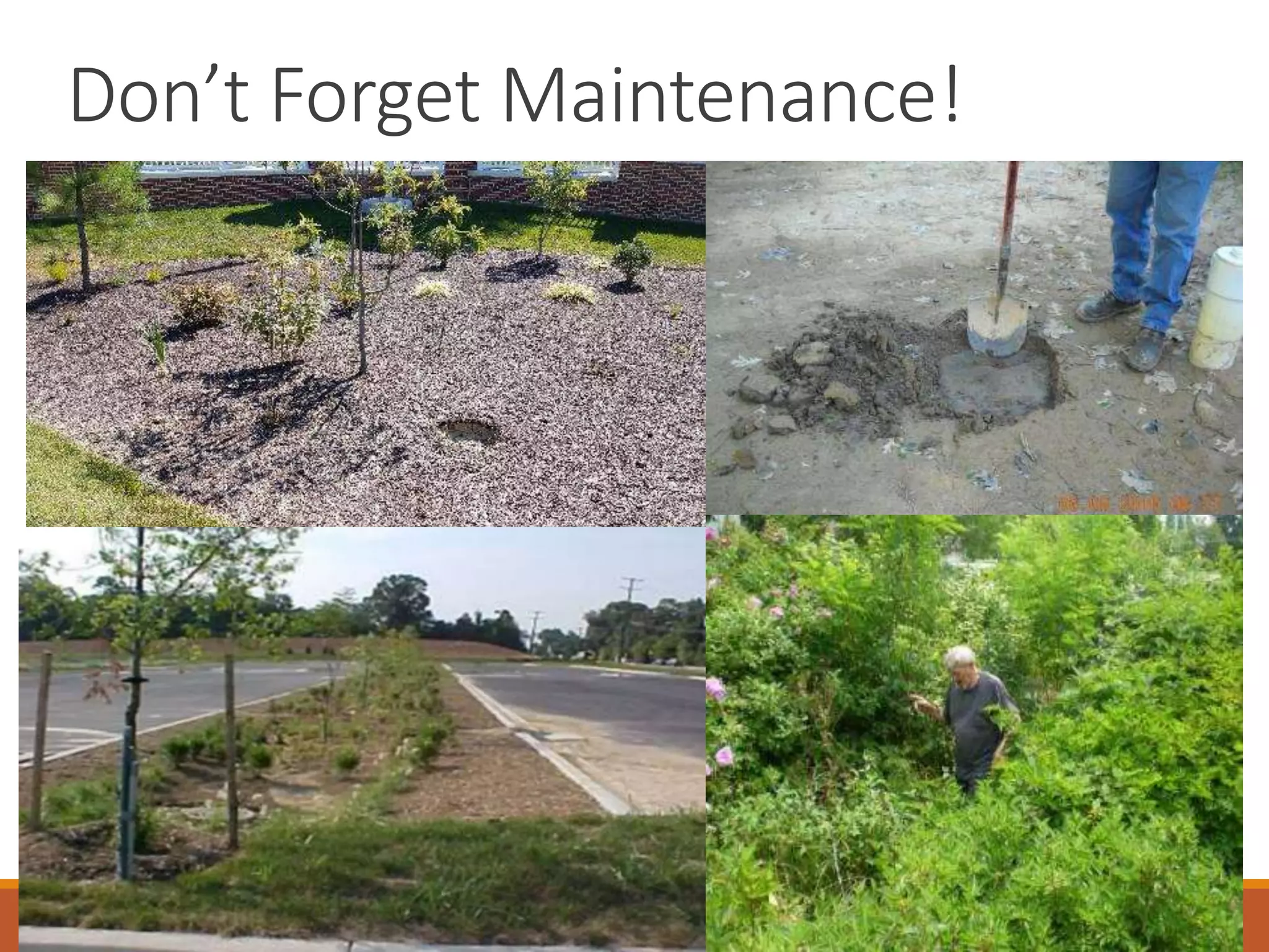 Don’t Forget Maintenance!
 