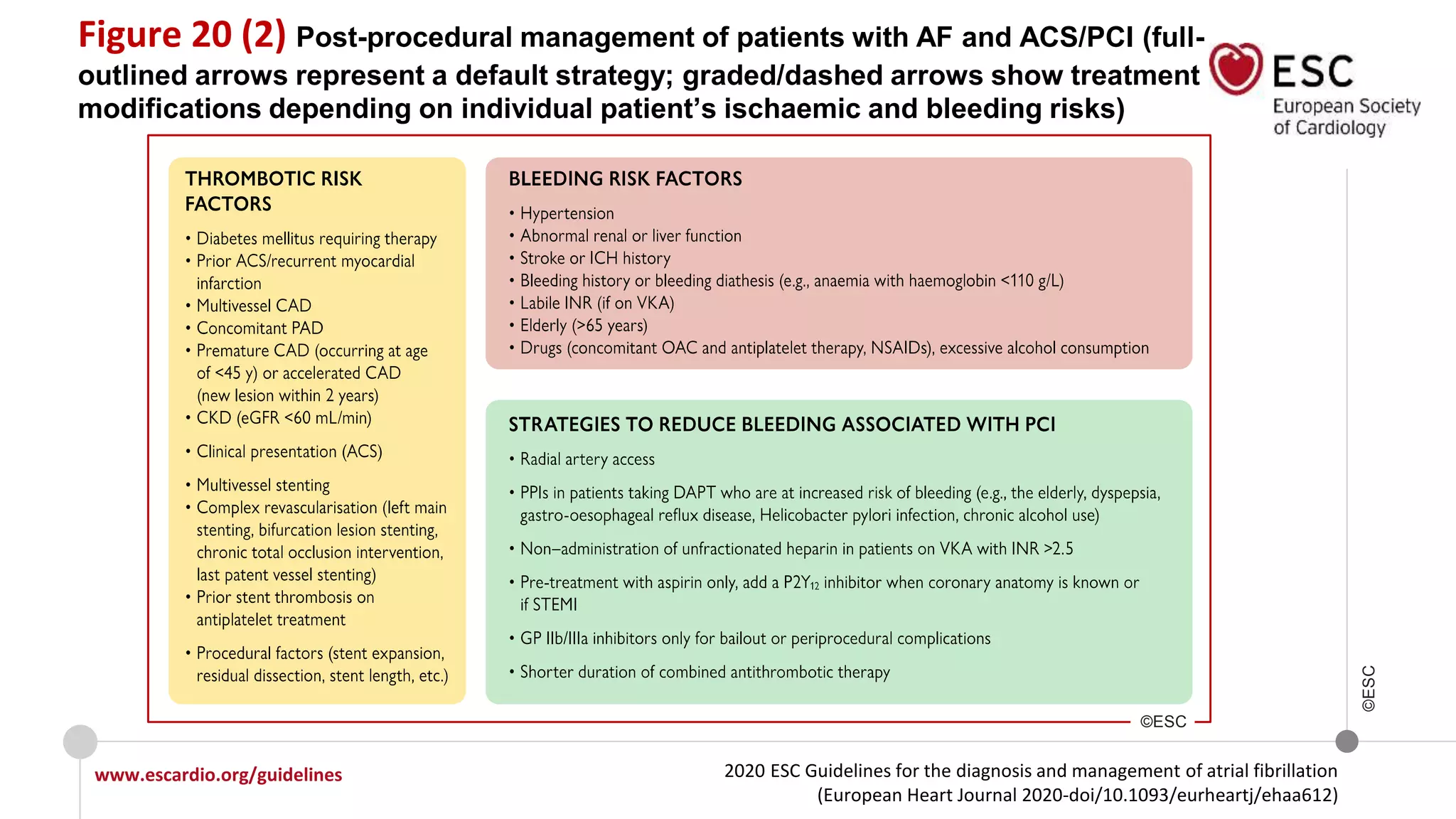 2020 ESC Guidelines for the diagnosis and management of atrial fibrillation
(European Heart Journal 2020-doi/10.1093/eurheartj/ehaa612)
www.escardio.org/guidelines
©ESC
Figure 20 (2) Post-procedural management of patients with AF and ACS/PCI (full-
outlined arrows represent a default strategy; graded/dashed arrows show treatment
modifications depending on individual patient’s ischaemic and bleeding risks)
©ESC
 