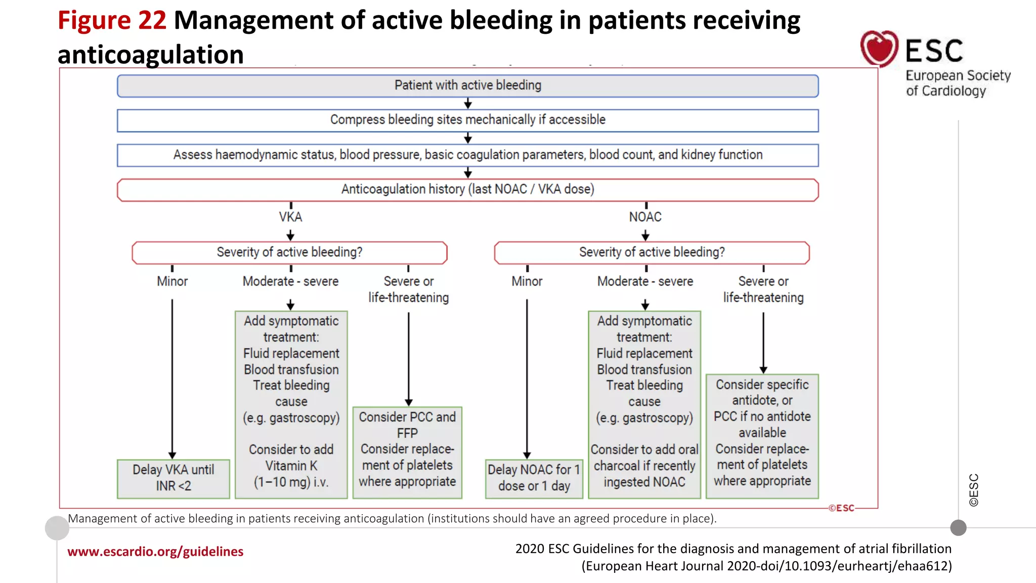 2020 ESC Guidelines for the diagnosis and management of atrial fibrillation
(European Heart Journal 2020-doi/10.1093/eurheartj/ehaa612)
www.escardio.org/guidelines
©ESC
Management of active bleeding in patients receiving anticoagulation (institutions should have an agreed procedure in place).
Figure 22 Management of active bleeding in patients receiving
anticoagulation
 