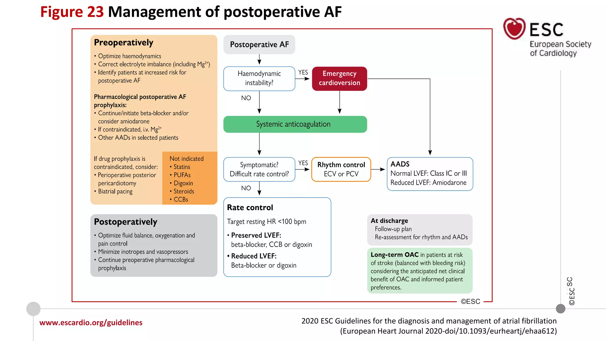 2020 ESC Guidelines for the diagnosis and management of atrial fibrillation
(European Heart Journal 2020-doi/10.1093/eurheartj/ehaa612)
www.escardio.org/guidelines
©ESC
Figure 23 Management of postoperative AF
©ESC
©ESC
 