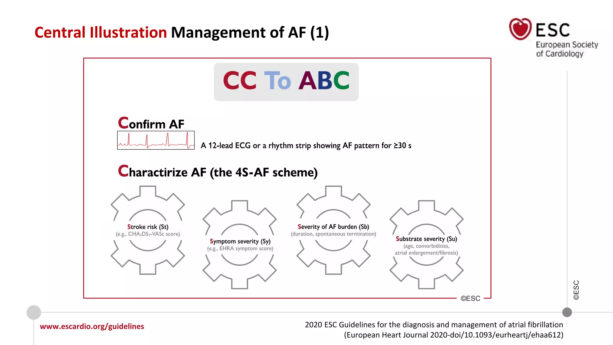 2020 ESC Guidelines for the diagnosis and management of atrial fibrillation
(European Heart Journal 2020-doi/10.1093/eurheartj/ehaa612)
www.escardio.org/guidelines
©ESC
Central Illustration Management of AF (1)
©ESC
 