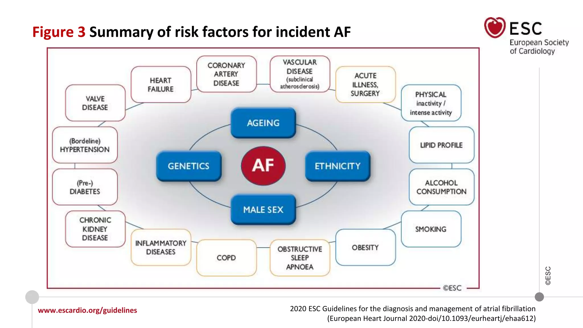 2020 ESC Guidelines for the diagnosis and management of atrial fibrillation
(European Heart Journal 2020-doi/10.1093/eurheartj/ehaa612)
www.escardio.org/guidelines
©ESC
Figure 3 Summary of risk factors for incident AF
 