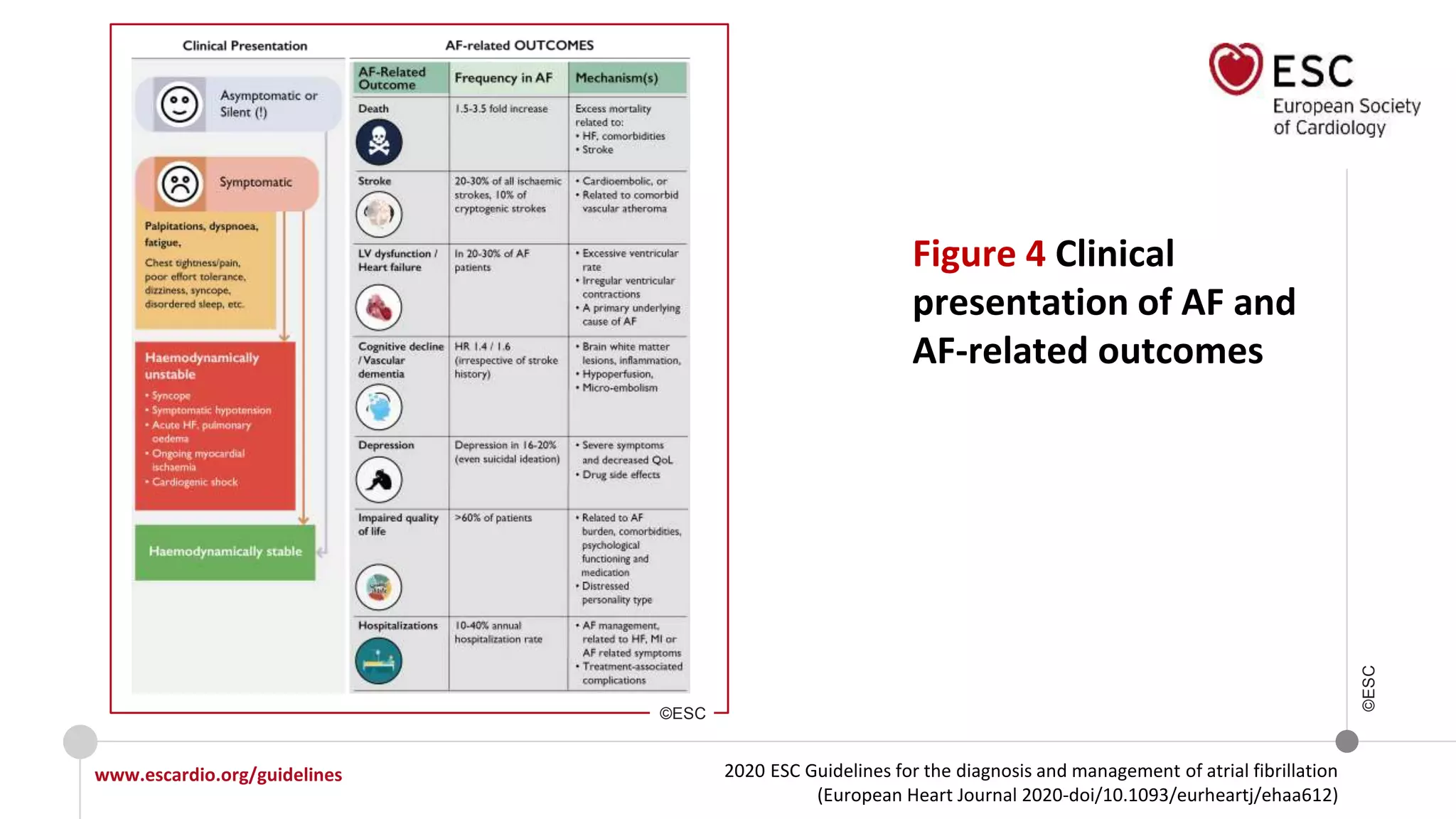 2020 ESC Guidelines for the diagnosis and management of atrial fibrillation
(European Heart Journal 2020-doi/10.1093/eurheartj/ehaa612)
www.escardio.org/guidelines
©ESC
Figure 4 Clinical
presentation of AF and
AF-related outcomes
©ESC
 