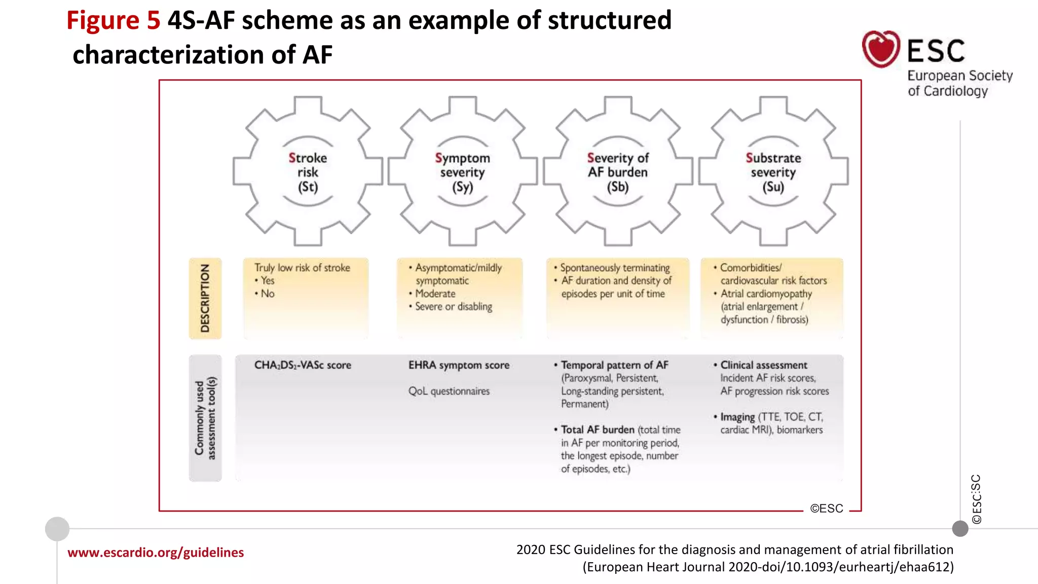 2020 ESC Guidelines for the diagnosis and management of atrial fibrillation
(European Heart Journal 2020-doi/10.1093/eurheartj/ehaa612)
www.escardio.org/guidelines
©ESC
Figure 5 4S-AF scheme as an example of structured
characterization of AF
©ESC
©ESC
 