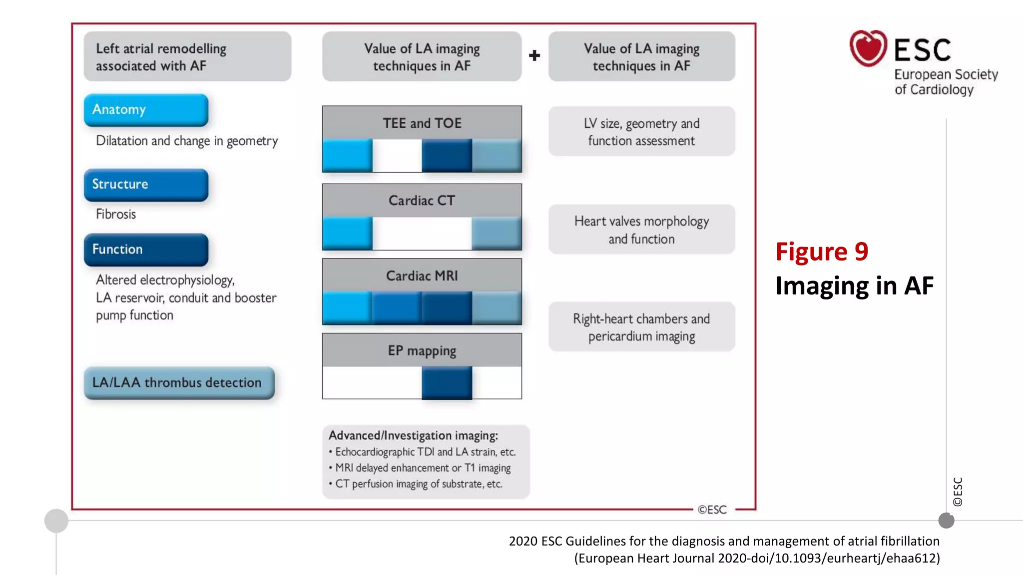 2020 ESC Guidelines for the diagnosis and management of atrial fibrillation
(European Heart Journal 2020-doi/10.1093/eurheartj/ehaa612)
Figure 9
Imaging in AF
©ESC
 