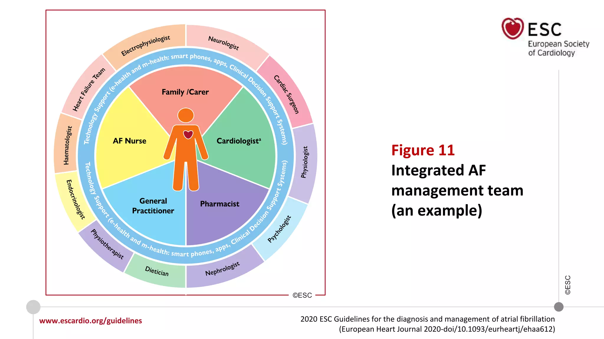 2020 ESC Guidelines for the diagnosis and management of atrial fibrillation
(European Heart Journal 2020-doi/10.1093/eurheartj/ehaa612)
www.escardio.org/guidelines
©ESC
Figure 11
Integrated AF
management team
(an example)
©ESC
 