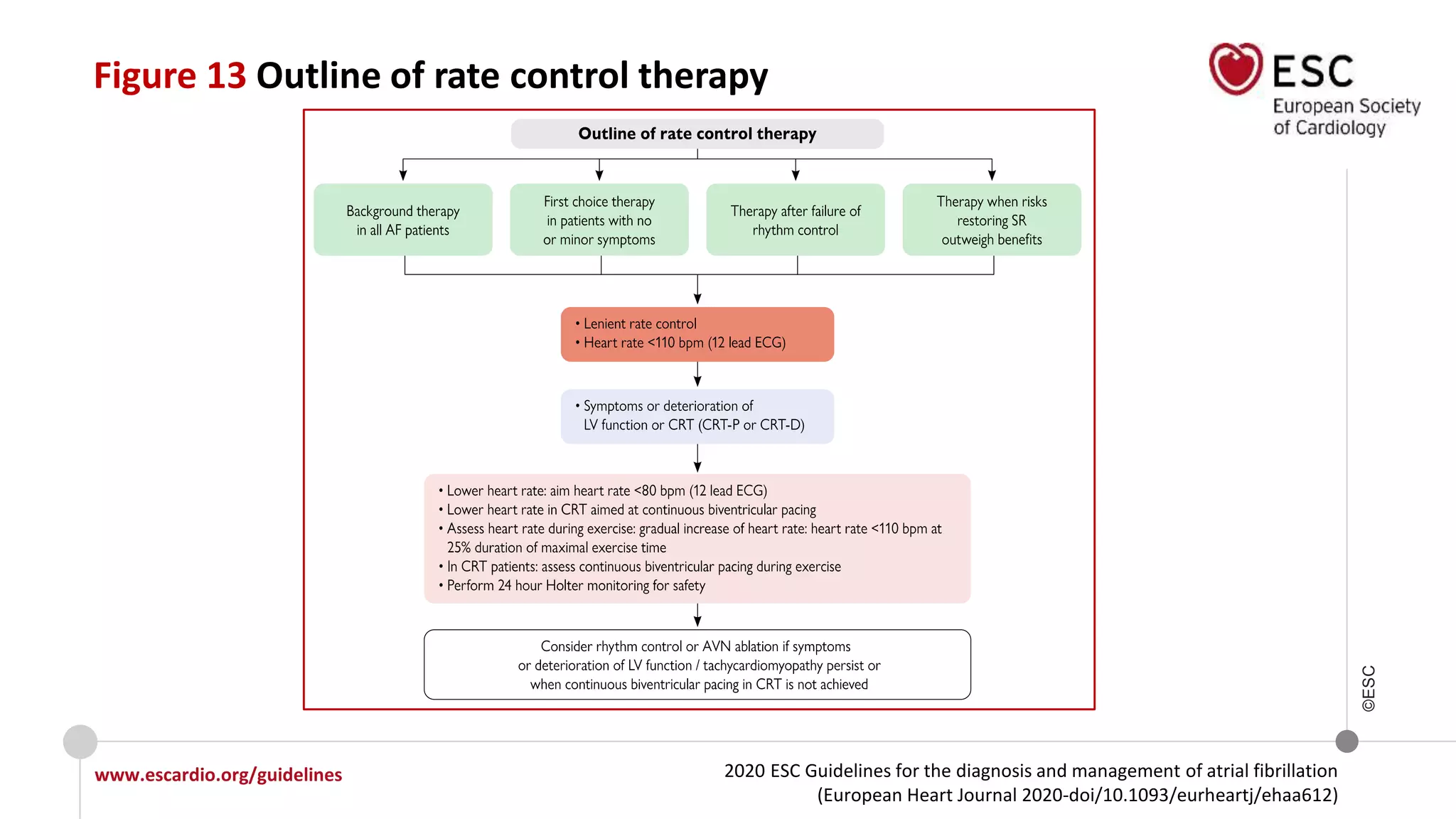 2020 ESC Guidelines for the diagnosis and management of atrial fibrillation
(European Heart Journal 2020-doi/10.1093/eurheartj/ehaa612)
www.escardio.org/guidelines
©ESC
Figure 13 Outline of rate control therapy
 