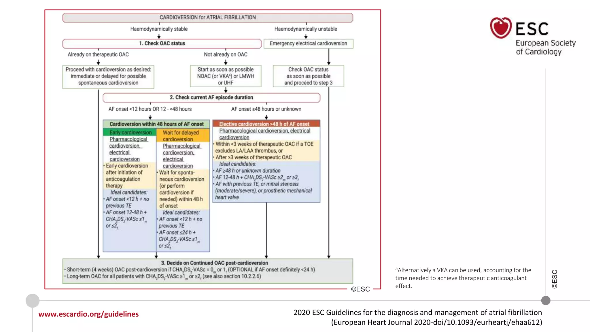 2020 ESC Guidelines for the diagnosis and management of atrial fibrillation
(European Heart Journal 2020-doi/10.1093/eurheartj/ehaa612)
www.escardio.org/guidelines
©ESC
aAlternatively a VKA can be used, accounting for the
time needed to achieve therapeutic anticoagulant
effect.
©ESC
 