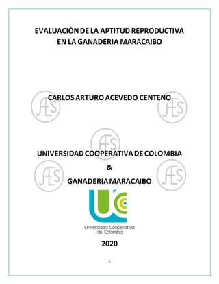 1
EVALUACIÓNDE LA APTITUD REPRODUCTIVA
EN LA GANADERIA MARACAIBO
CARLOSARTUROACEVEDO CENTENO
UNIVERSIDADCOOPERATIVADE COLOMBIA
&
GANADERIAMARACAIBO
2020
 