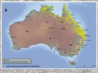 Figure 2:
Data source: Atlas of Living Australia
 