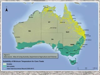 Figure 3:
Data source: Atlas of Living Australia, Department of Agriculture and Fisheries
 