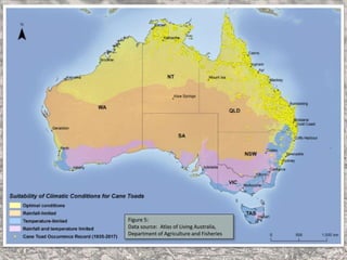 Figure 5:
Data source: Atlas of Living Australia,
Department of Agriculture and Fisheries
 