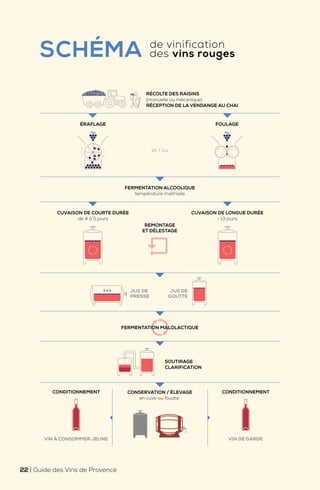 FERMENTATION ALCOOLIQUE
température maîtrisée
FERMENTATION MALOLACTIQUE
CONDITIONNEMENT
VIN À CONSOMMER JEUNE
CONDITIONNEMENT
VIN DE GARDE
REMONTAGE
ET DÉLESTAGE
CUVAISON DE COURTE DURÉE
de 4 à 5 jours
CUVAISON DE LONGUE DURÉE
> 13 jours
ÉRAFLAGE FOULAGE
et / ou
CONSERVATION / ÉLEVAGE
en cuve ou foudre
JUS DE
PRESSE
JUS DE
GOUTTE
SOUTIRAGE
CLARIFICATION
RÉCOLTE DES RAISINS
(manuelle ou mécanique)
RÉCEPTION DE LA VENDANGE AU CHAI
SCHÉMA de vinification
des vins rouges
22 | Guide des Vins de Provence
 