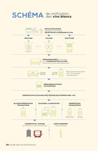 FERMENTATION ALCOOLIQUE AVEC MAÎTRISE DES TEMPÉRATURES < 18°C
DÉBOURBAGE STATIQUE
OU DYNAMIQUE
ÉRAFLAGE ÉGOUTTAGE
et / ou et / ou
CONDITIONNEMENT
mise en bouteille
CONSERVATION / ÉLEVAGE
sur lies fines, en cuve ou en barrique
SOUTIRAGE / CLARIFICATION
BLOCAGE FERMENTATION
MALOLACTIQUE
FERMENTATION
MALOLACTIQUE
FOULAGE
RÉCOLTE DES RAISINS
(manuelle ou mécanique)
RÉCEPTION DE LA VENDANGE AU CHAI
PARTIELLE TOTALE
PRESSURAGE DIRECT ou précédé
d’une MACÉRATION PELLICULAIRE
courte avec maîtrise des températures
Réincorporation éventuelle
des 1ers
jus de presse
ou jus de goutte
JUS DE
PRESSE
JUS DE
GOUTTE
SCHÉMA de vinification
des vins blancs
24 | Guide des Vins de Provence
 