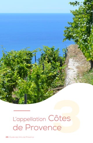 3
L’appellation Côtes
de Provence
26 | Guide des Vins de Provence
 