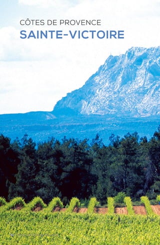 CÔTES DE PROVENCE
SAINTE-VICTOIRE
30 | Guide des Vins de Provence
 