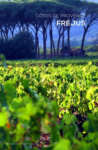 CÔTES DE PROVENCE
FRÉJUS
32 | Guide des Vins de Provence
 