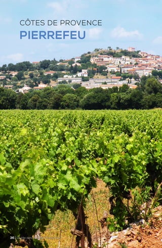 CÔTES DE PROVENCE
PIERREFEU
36 | Guide des Vins de Provence
 