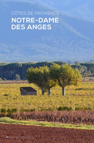 CÔTES DE PROVENCE
NOTRE-DAME
DES ANGES
38 | Guide des Vins de Provence
 