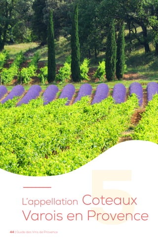 5
L’appellation Coteaux
Varois en Provence
44 | Guide des Vins de Provence
 