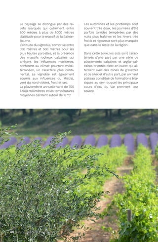 Le paysage se distingue par des re-
liefs marqués qui culminent entre
600 mètres à plus de 1000 mètres
d’altitude pour le massif de la Sainte-
Baume.
L’altitude du vignoble, comprise entre
350 mètres et 500 mètres pour les
plus hautes parcelles, et la présence
des massifs rocheux calcaires qui
arrêtent les influences maritimes,
confèrent au climat pourtant médi-
terranéen, un caractère plus conti-
nental. Le vignoble est également
soumis aux influences du Mistral,
vent du nord violent, froid et sec.
La pluviométrie annuelle varie de 700
à 900 millimètres et les températures
moyennes oscillent autour de 13 °C.
Les automnes et les printemps sont
souvent très doux, les journées d’été
parfois torrides tempérées par des
nuits plus fraîches et les hivers très
froids et rigoureux sont plus marqués
que dans le reste de la région.
Dans cette zone, les sols sont carac-
térisés d’une part par une série de
plissements calcaires et argilo-cal-
caires orientés d’est en ouest qui al-
ternent avec des zones de gravettes
et de silex et d’autre part, par un haut
plateau constitué de formations tria-
siques au sein duquel les principaux
cours d’eau du Var prennent leur
source.
46 | Guide des Vins de Provence
 