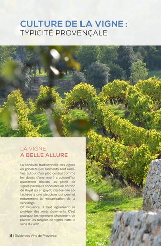 CULTURE DE LA VIGNE :
TYPICITÉ PROVENÇALE
LA VIGNE
A BELLE ALLURE
La conduite traditionnelle des vignes
en gobelets (les sarments sont rami-
fiés autour d’un pied central comme
les doigts d’une main) a aujourd’hui
quasiment disparu au profit de
vignes palissées conduites en cordon
de Royat ou en guyot, c’est-à-dire at-
tachées à une structure qui permet
notamment la mécanisation de la
vendange.
En Provence, il faut également se
protéger des vents dominants. C’est
pourquoi les vignerons choisissent de
planter les rangées de vignes dans le
sens du vent.
8 | Guide des Vins de Provence
 