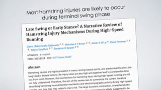 Most hamstring injuries are likely to occur
during terminal swing phase
 
