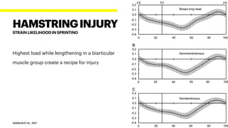Highest load while lengthening in a biarticular
muscle group create a recipe for injury
XIANGLIN ET AL., 2017
HAMSTRINGINJURY
STRAIN LIKELIHOOD IN SPRINTING
 