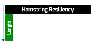 Hamstring ResiliencyLength
 