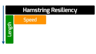 Hamstring Resiliency
Speed
Length
 