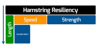 Hamstring Resiliency
Speed Strength
Length
Acceleration
 