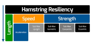 Hamstring Resiliency
Speed Strength
Length
Sub Max
Upright
Acceleration
Sub Max
Concentric
Sub Max
Isometric
Sub Max
Eccentric
 
