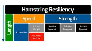 Hamstring Resiliency
Speed Strength
Length
Sub Max
Upright
Acceleration
Top Speed
Maximal
Sub Max
Concentric
Sub Max
Isometric
Sub Max
Eccentric
 