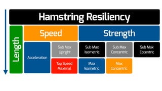 Hamstring Resiliency
Speed Strength
Length
Sub Max
Upright
Acceleration
Top Speed
Maximal
Sub Max
Concentric
Sub Max
Isometric
Max
Concentric
Max
Isometric
Sub Max
Eccentric
 
